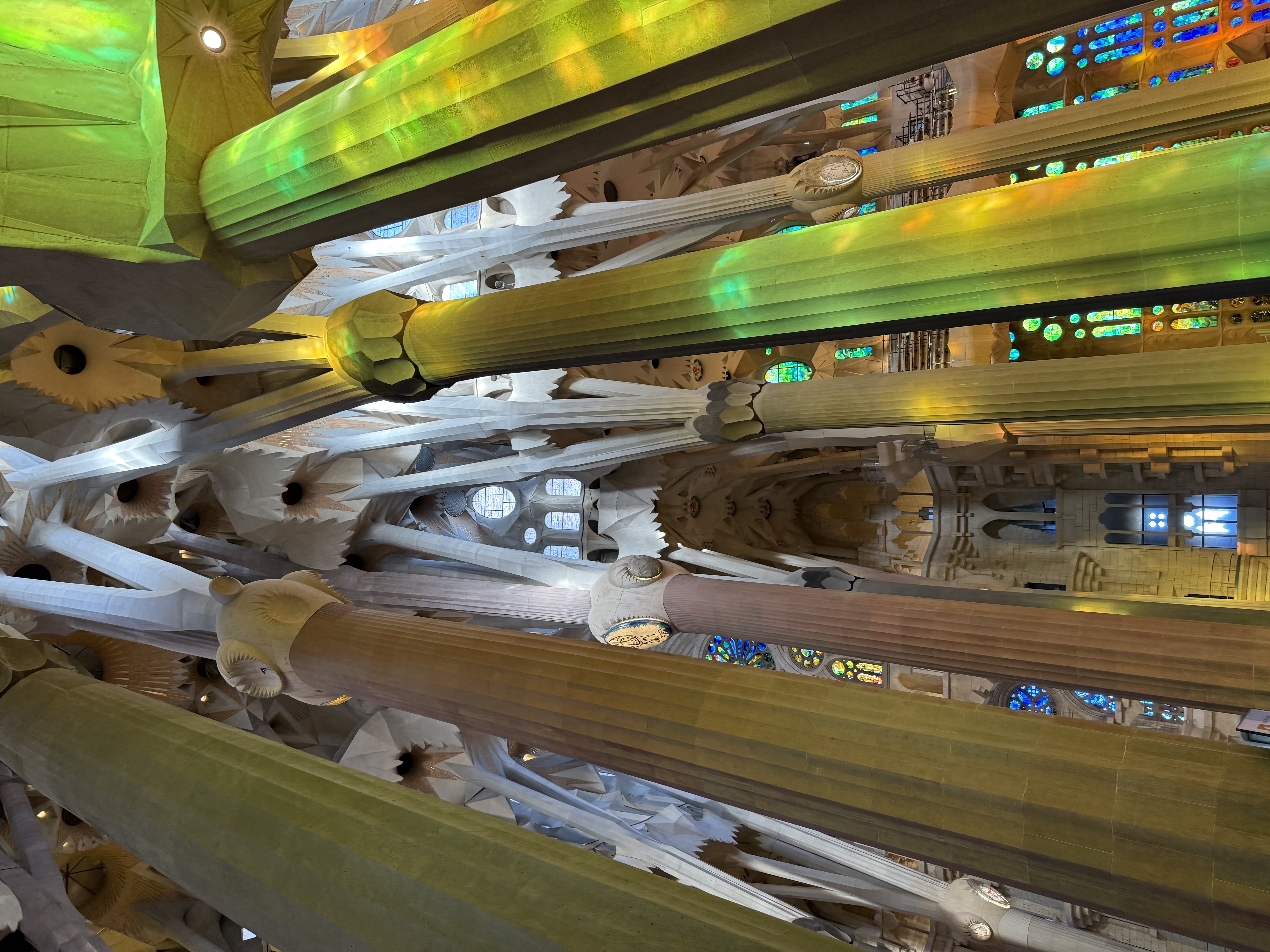 圣家堂内部的树形柱