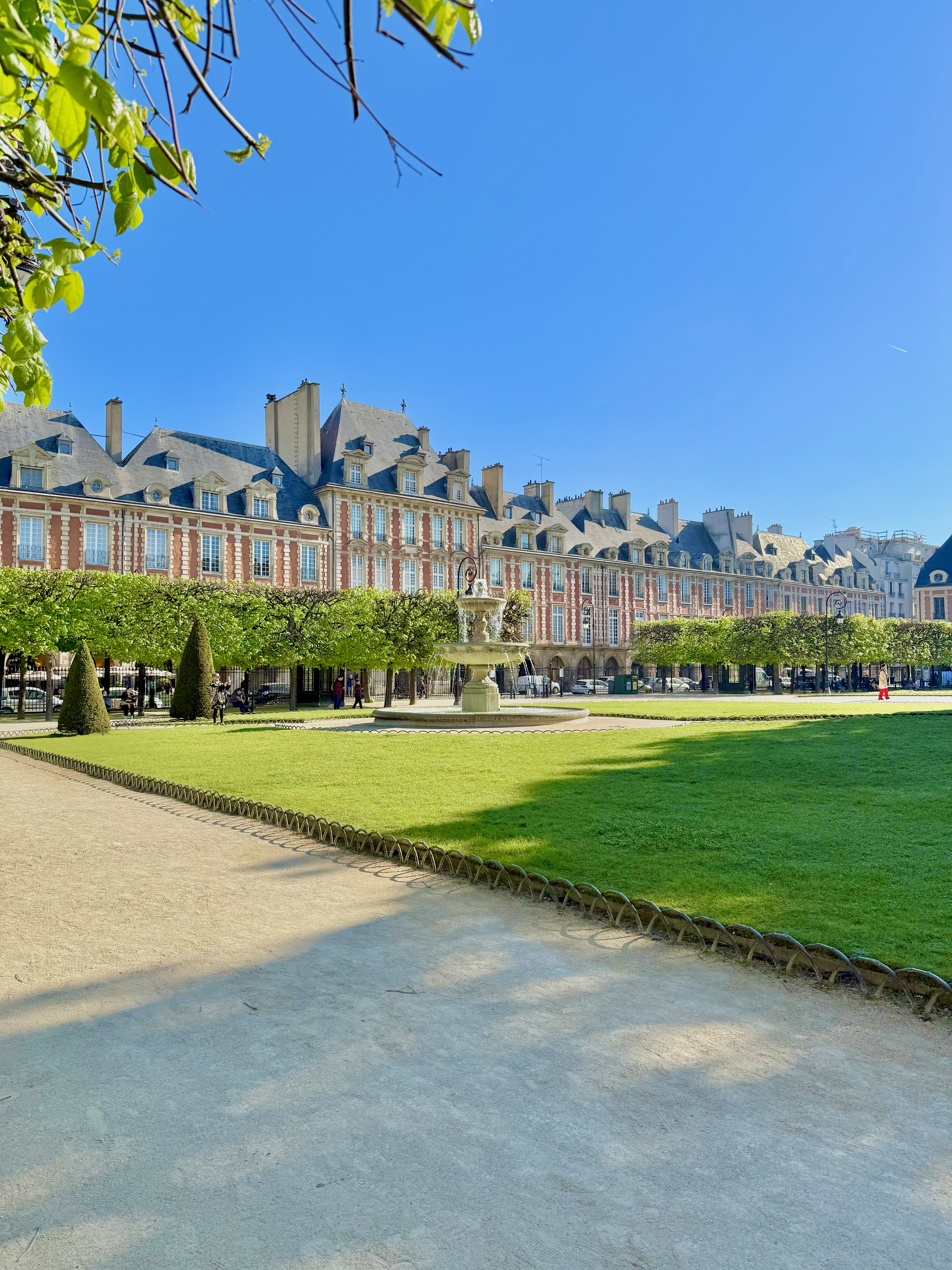 晨光中的孚日广场