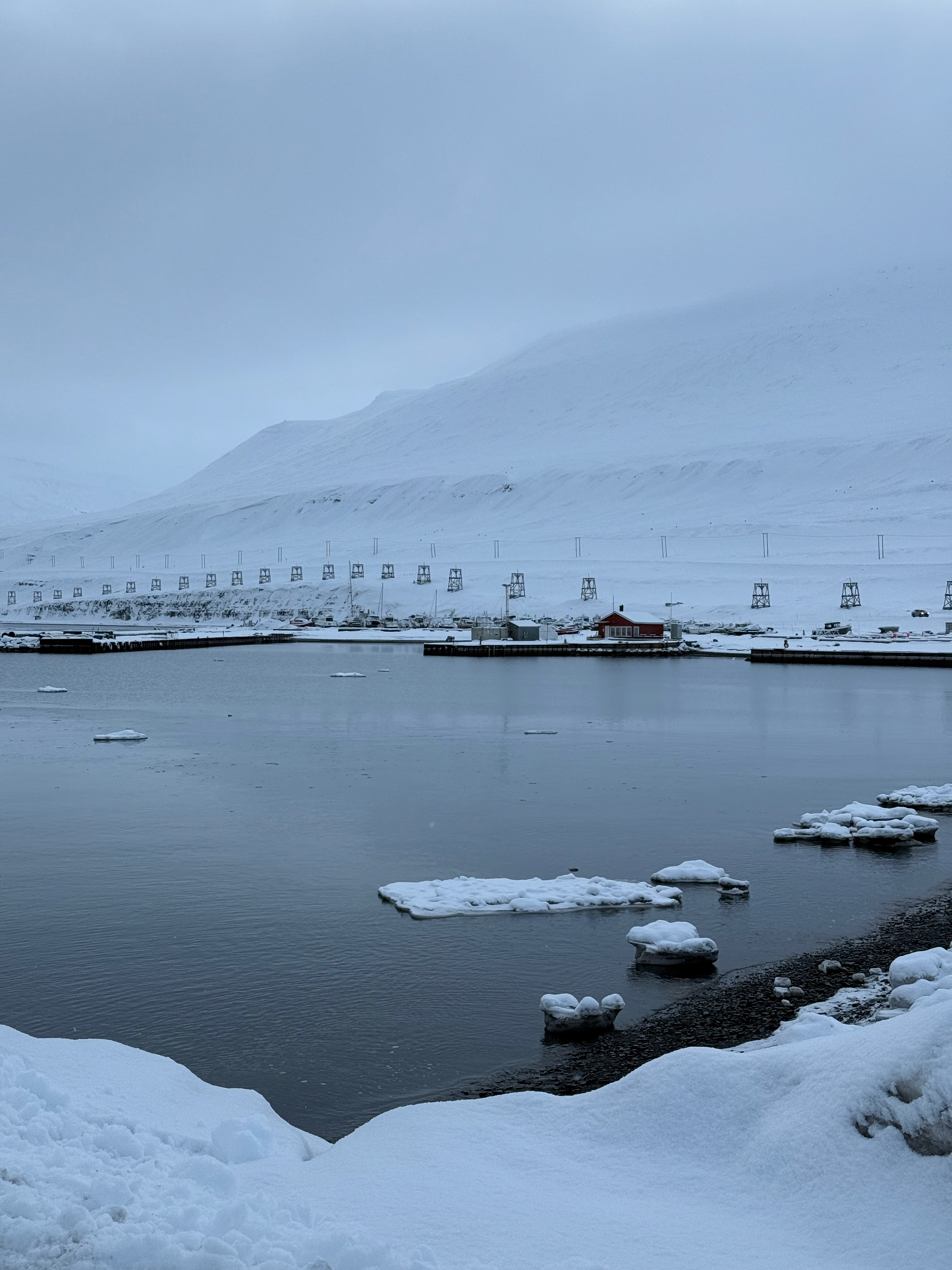 暴风雪后的峡湾港口